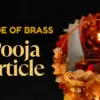 Pooja Article