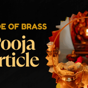 Pooja Article