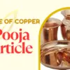 Pooja Article
