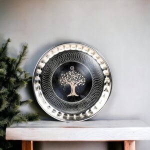 DINODINK Stainless Steel Plates Dinner Plates Set of 6 | 28cm Multipurpose Stainless Steel Plates Set for Kitchen | Serving Plate