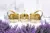 Handcrafted Pure Brass Flower Basket – Traditional Decorative Basket for Puja & Home Décor | Set Of 3